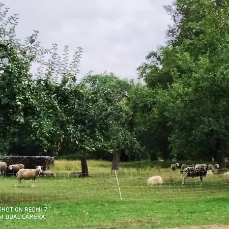 Bij Bijnen Bed & Breakfast