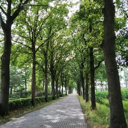 Bed and Breakfast Bij Bijnen 3*