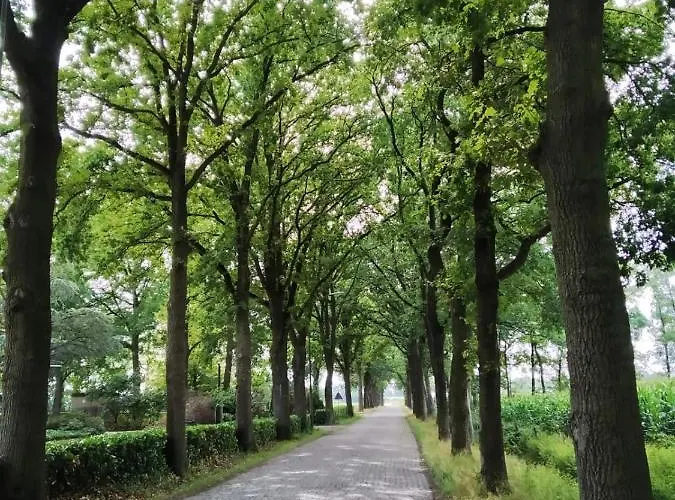 לינה וארוחת בוקר Bij Bijnen 3*