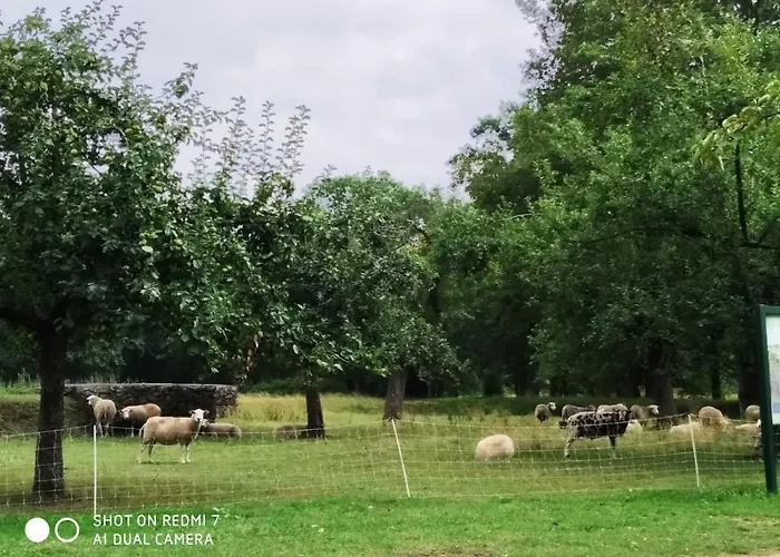 Bij Bijnen לינה וארוחת בוקר